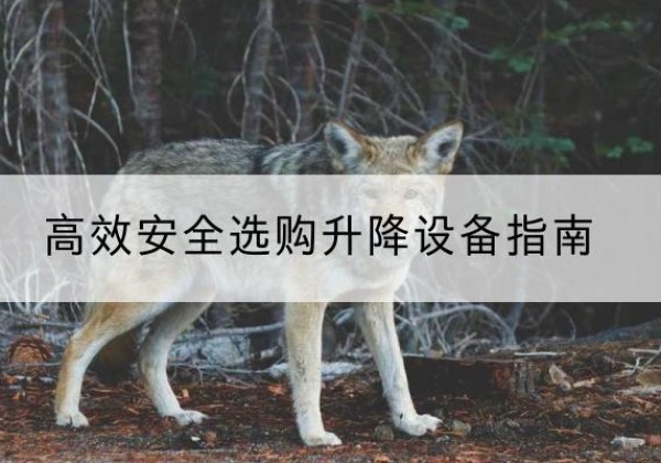湛江升降货梯厂家推荐-*安全选购升降设备指南