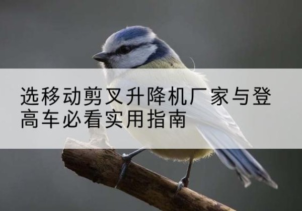 湛江电动升降机厂家-选移动剪叉升降机厂家与登高车必看实用指南