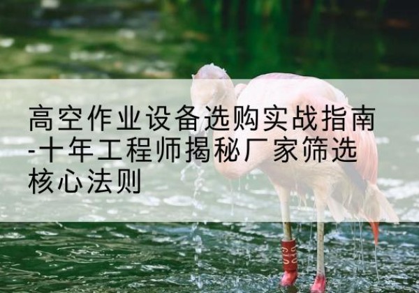 湛江剪叉式升降机厂家-高空作业设备选购实战指南-十年工程师揭秘厂家筛选核心法则